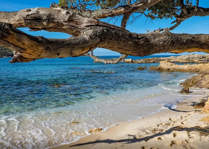 Cozy In With Wifi Prázdninový dům *